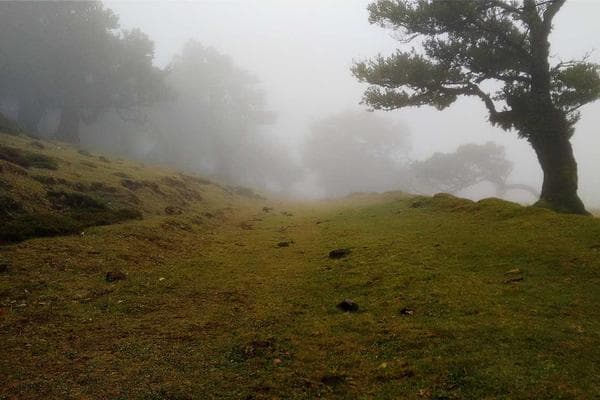 Annual Academic Excellence Awards