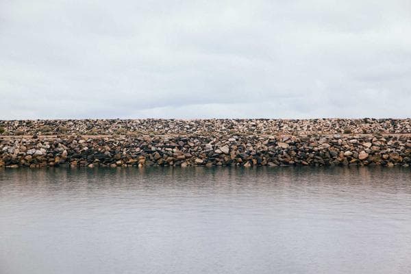 Digital Skills for the Future Workshop